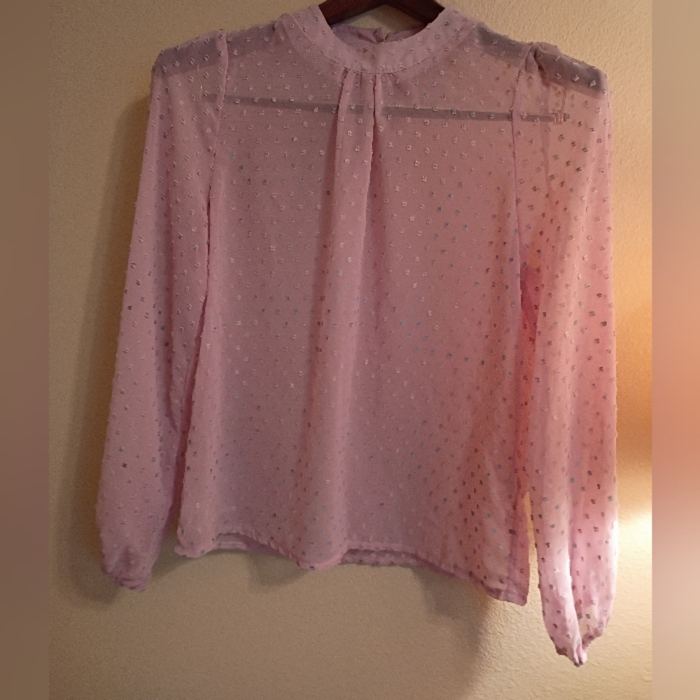 Pink Sheer Chiffon Clip Dot Mock Neck Long Sleeve Blouse - Picture 3 of 13